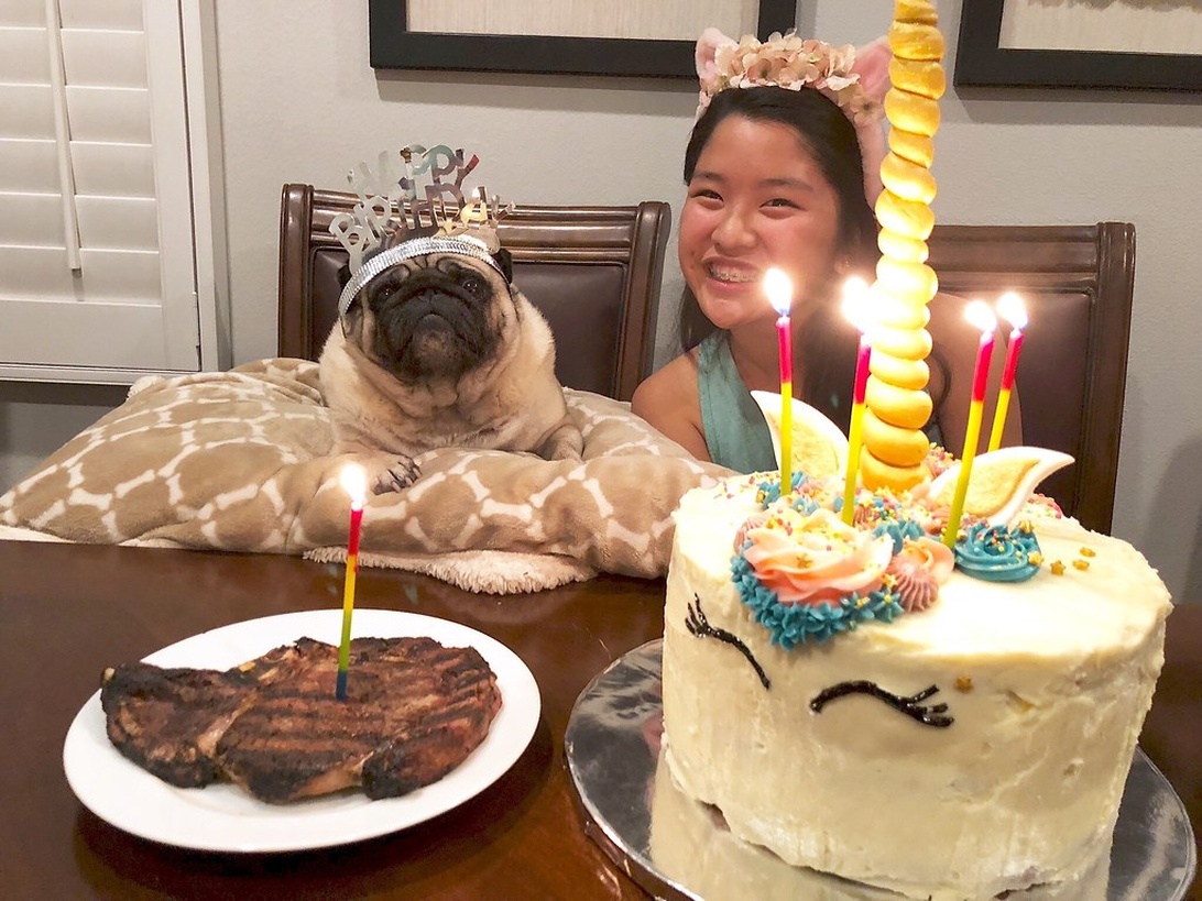 Ein Kind und ein Mops feiern Geburtstag mit einer geschmückten Torte und Kerzen.